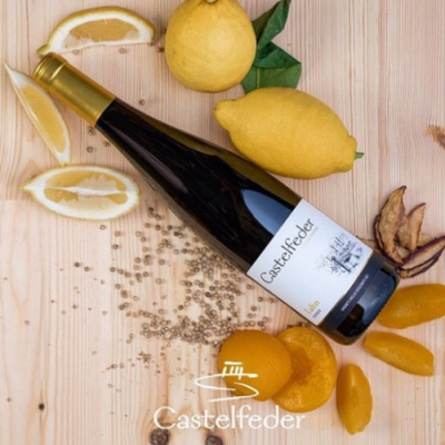 Vína z italského vinařství Castelfeder