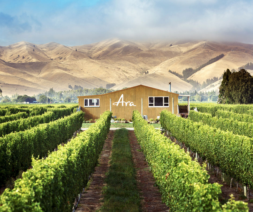 Vinařství Ara, Nový Zéland, Marlborough