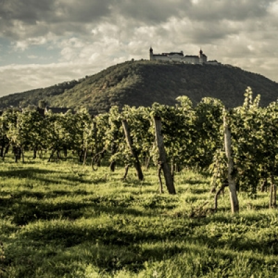 Vína z vinařství Malat v Rakousku