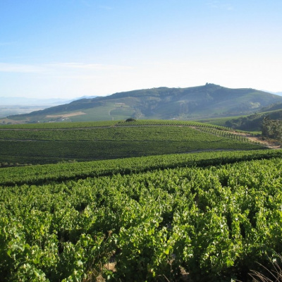 Vína vinařství Mooiplaas z Jižní Afriky