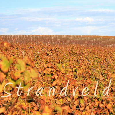Vína vinařství Strandveld z Jižní Afriky
